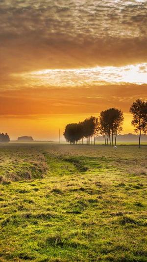 6.79截图4